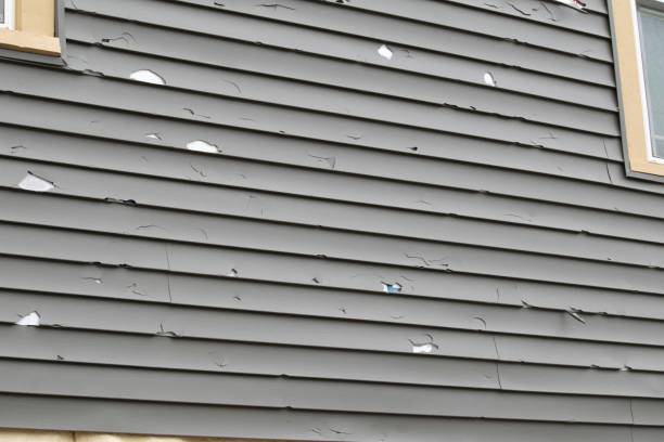 Best Same-Day Junk Removal Services  in Los Molinos, CA